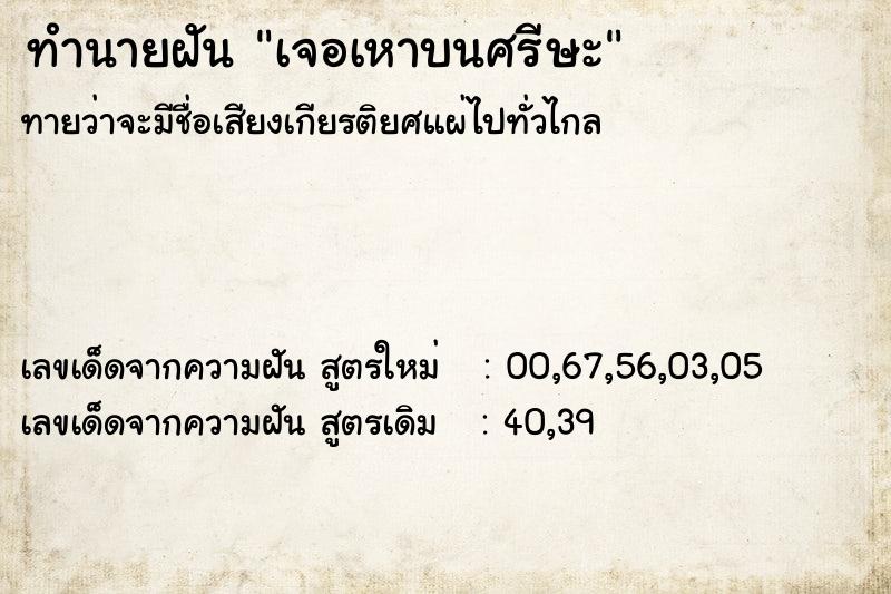 ทำนายฝัน เจอเหาบนศรีษะ