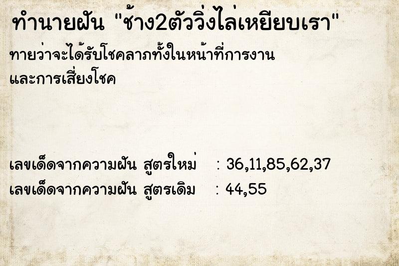 ทำนายฝัน ช้าง2ตัววิ่งไล่เหยียบเรา