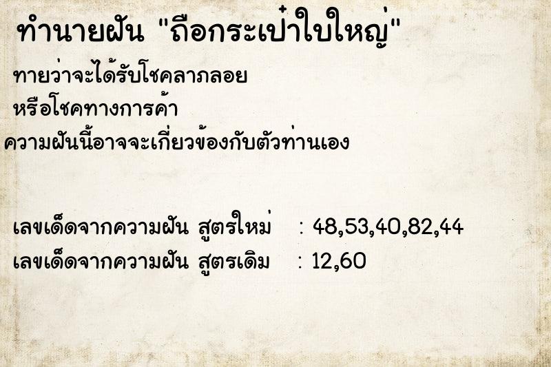 ทำนายฝัน ถือกระเป๋าใบใหญ่