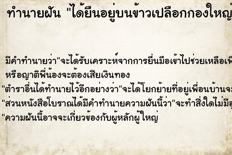 ทำนายฝัน ได้ยืนอยู่บนข้าวเปลือกกองใหญ่