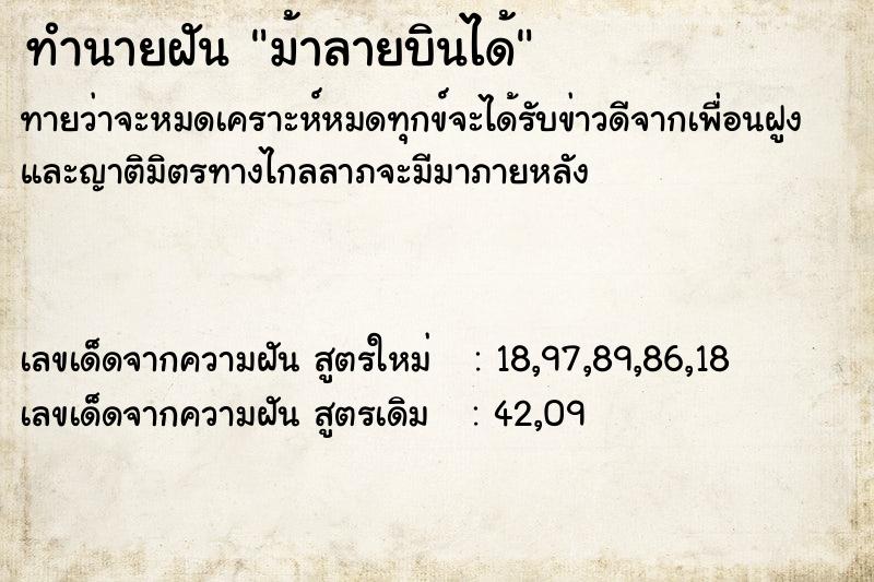 ทำนายฝัน ม้าลายบินได้