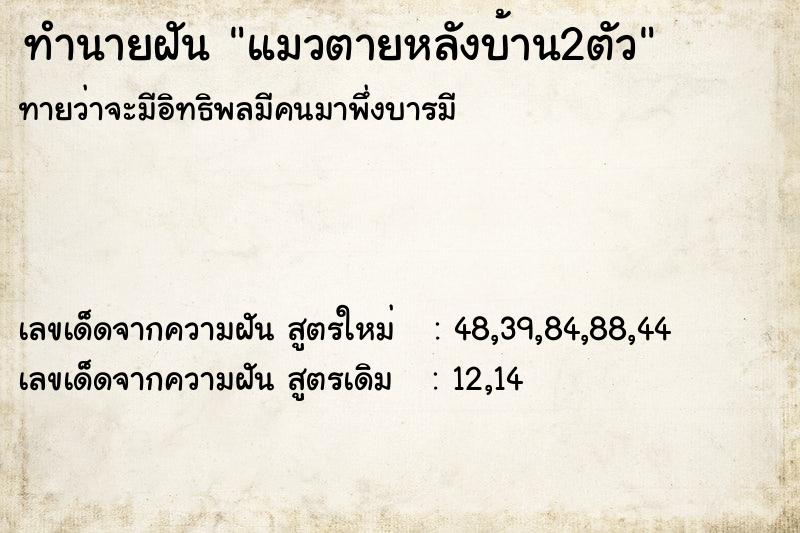 ทำนายฝัน แมวตายหลังบ้าน2ตัว