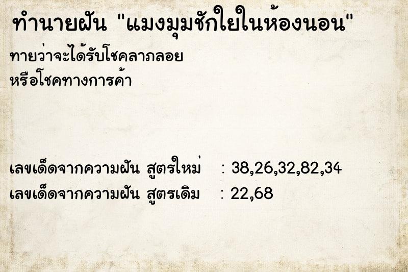 ทำนายฝัน แมงมุมชักใยในห้องนอน