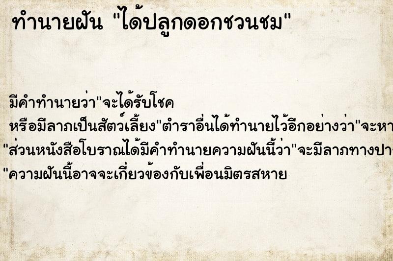 ทำนายฝัน ได้ปลูกดอกชวนชม