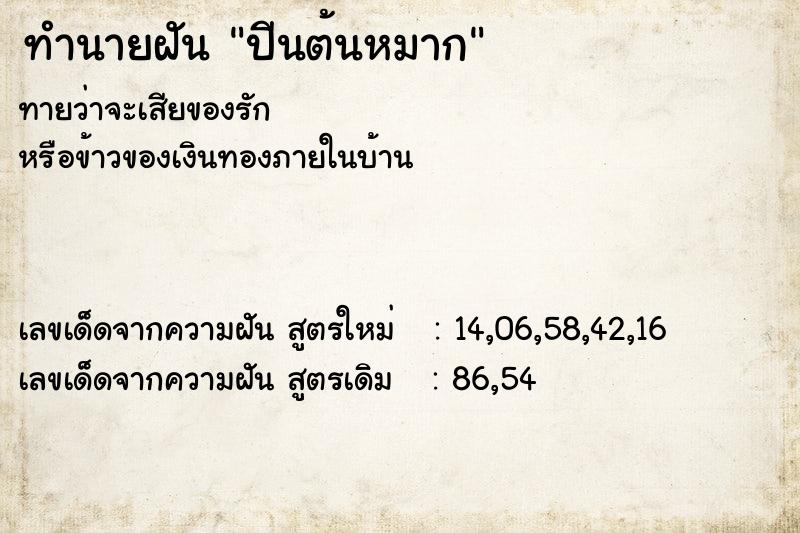 ทำนายฝัน ปีนต้นหมาก