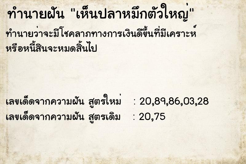 ทำนายฝัน เห็นปลาหมึกตัวใหญ่