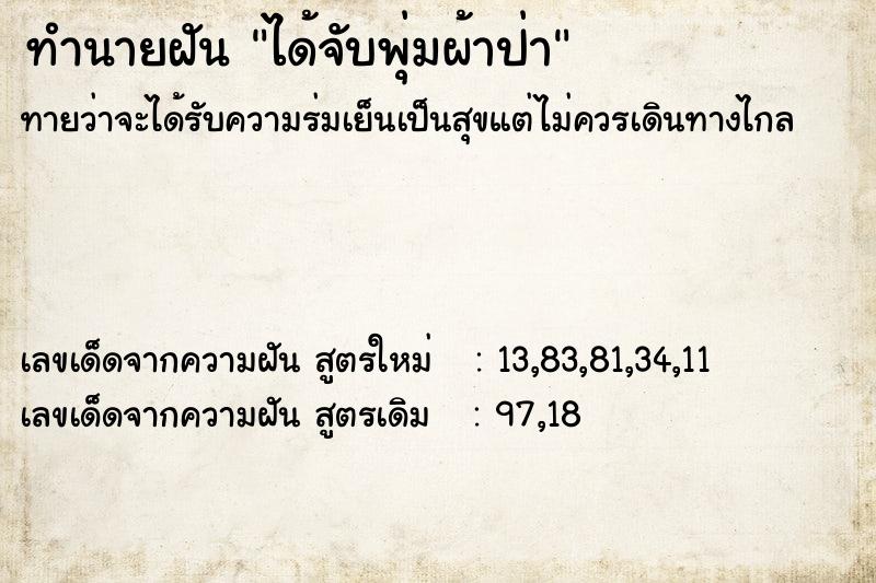 ทำนายฝัน ได้จับพุ่มผ้าป่า  เลขนำโชค 