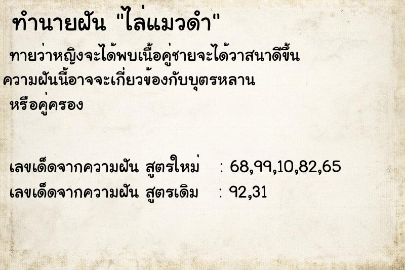 ทำนายฝัน ไล่แมวดำ