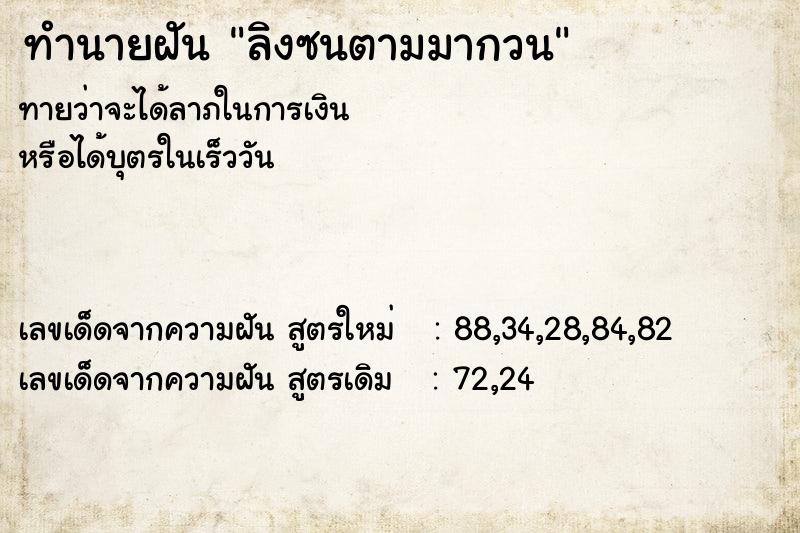 ทำนายฝัน ลิงซนตามมากวน