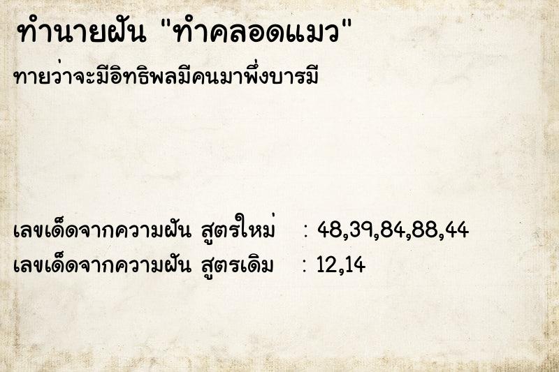 ทำนายฝัน ทำคลอดแมว