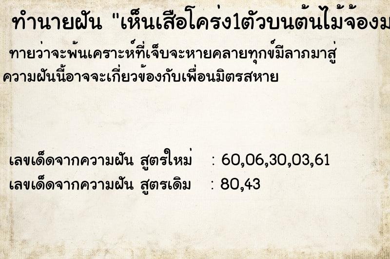 ทำนายฝัน เห็นเสือโคร่ง1ตัวบนต้นไม้จ้องมองตากันกับเสือ