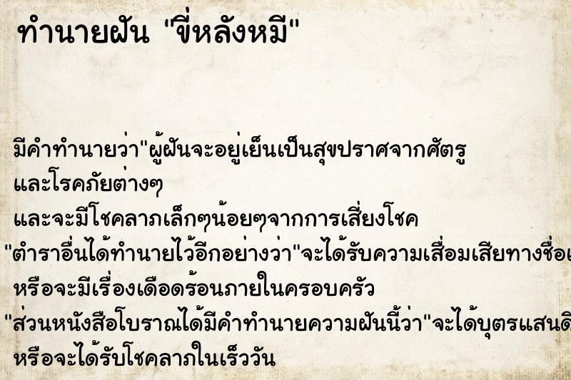 ทำนายฝัน ขี่หลังหมี