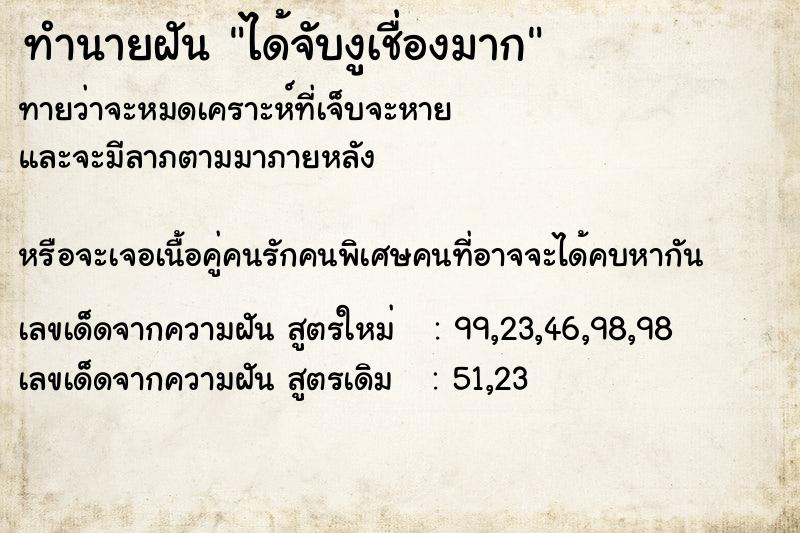 ทำนายฝัน ได้จับงูเชื่องมาก