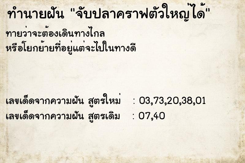 ทำนายฝัน จับปลาคราฟตัวใหญ่ได้