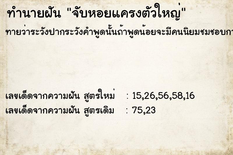 ทำนายฝัน จับหอยแครงตัวใหญ่