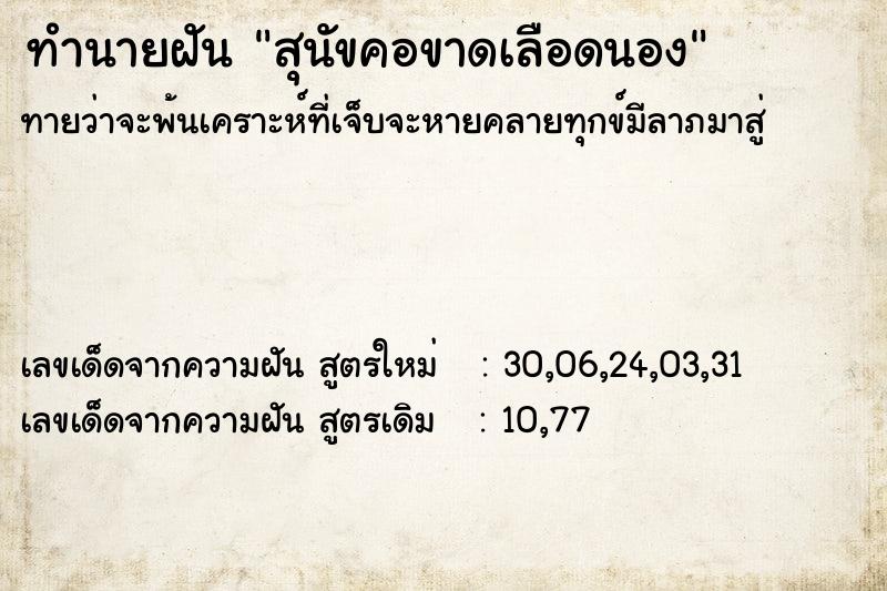 ทำนายฝัน สุนัขคอขาดเลือดนอง