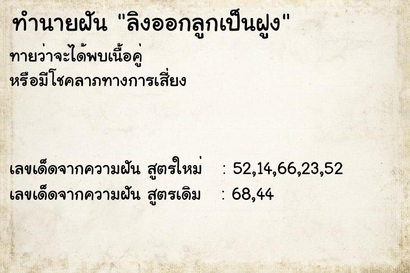 ทำนายฝัน ลิงออกลูกเป็นฝูง