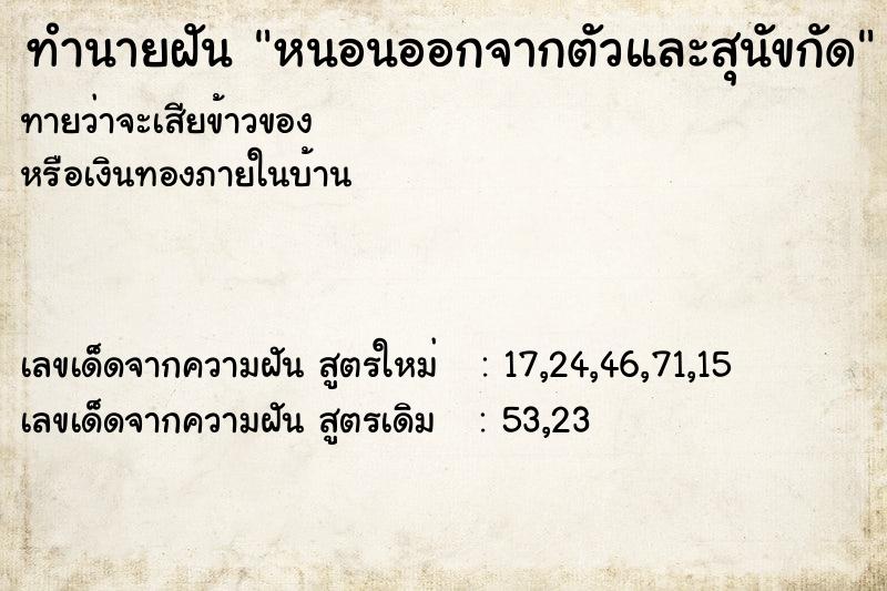 ทำนายฝัน หนอนออกจากตัวและสุนัขกัด