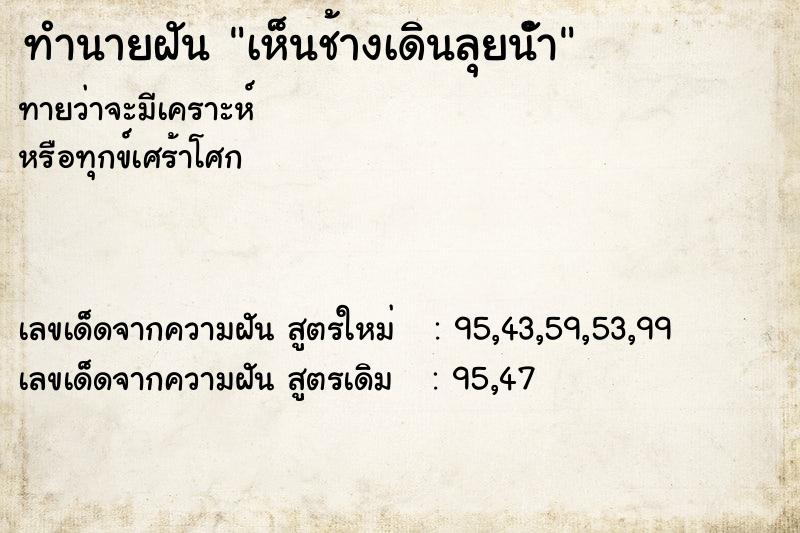 ทำนายฝัน เห็นช้างเดินลุยนัำ