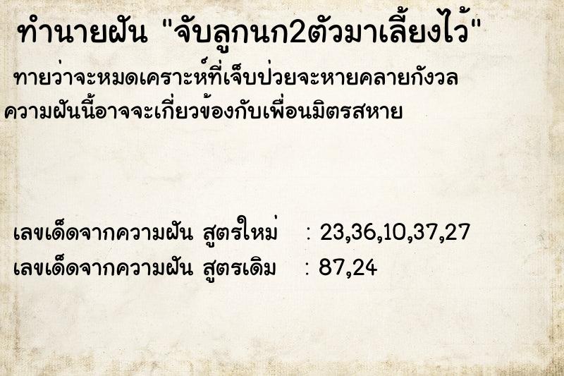 ทำนายฝัน จับลูกนก2ตัวมาเลี้ยงไว้