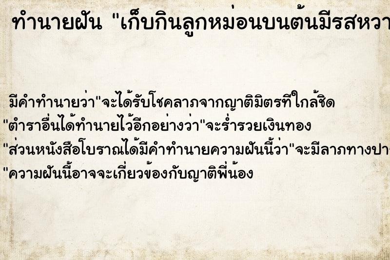 ทำนายฝัน #ทำนายฝัน #เก็บกินลูกหม่อนบนต้นมีรสหวานอร่อย  เลขนำโชค 