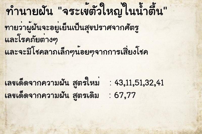 ทำนายฝัน จระเข้ตัวใหญ่ในน้ำตื้น