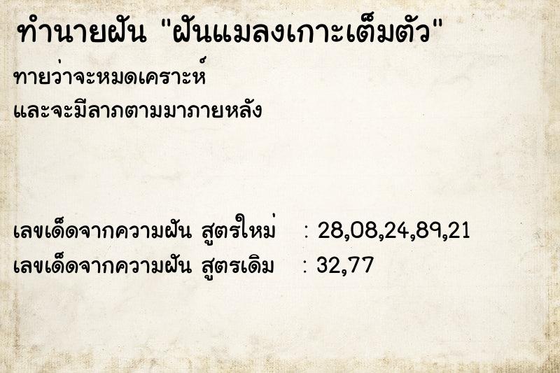 ทำนายฝัน ฝันแมลงเกาะเต็มตัว