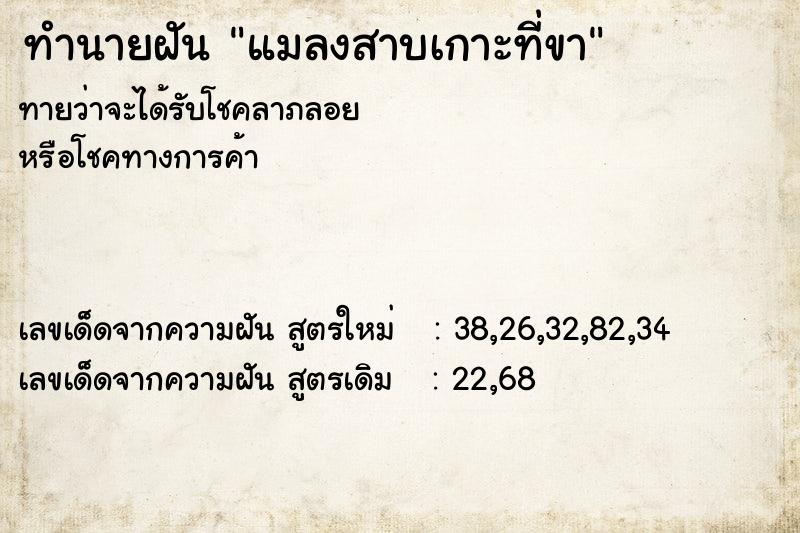 ทำนายฝัน แมลงสาบเกาะที่ขา