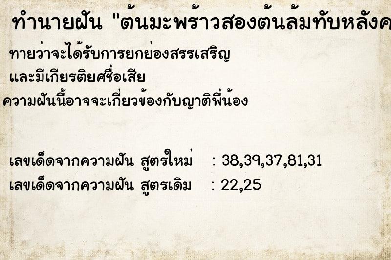 ทำนายฝัน ต้นมะพร้าวสองต้นล้มทับหลังคาบ้านพัง