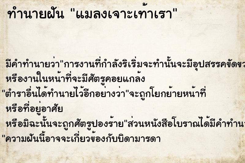 ทำนายฝัน แมลงเจาะเท้าเรา