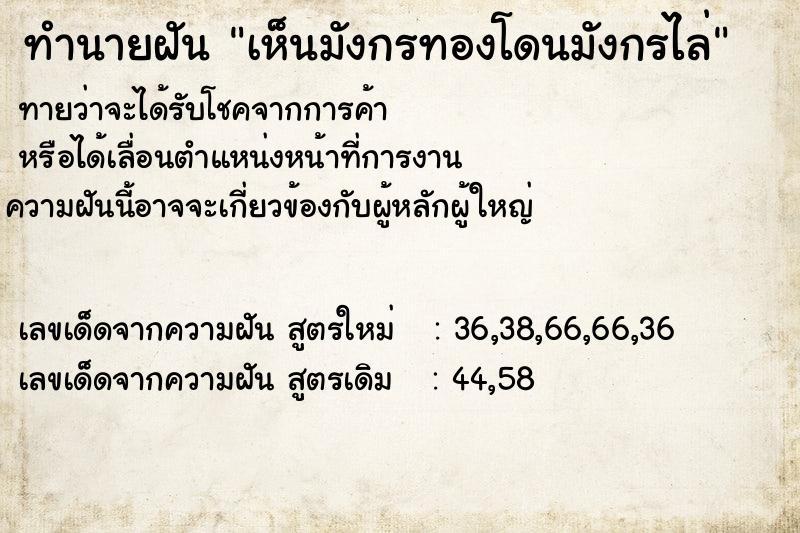 ทำนายฝัน เห็นมังกรทองโดนมังกรไล่