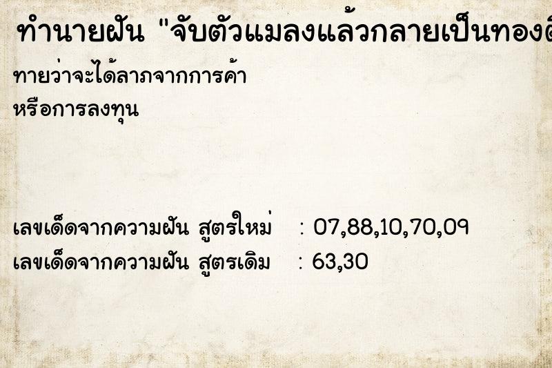 ทำนายฝัน จับตัวแมลงแล้วกลายเป็นทองติดมือ