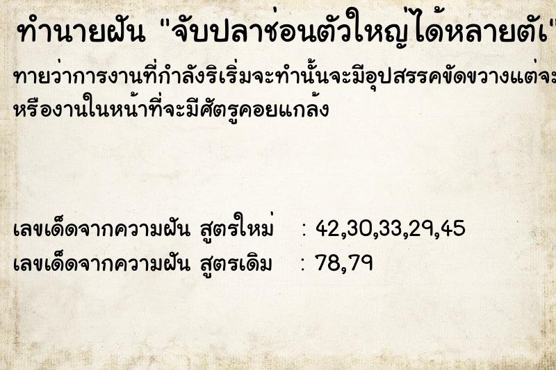 ทำนายฝัน จับปลาช่อนตัวใหญ่ได้หลายตัà  เลขนำโชค 