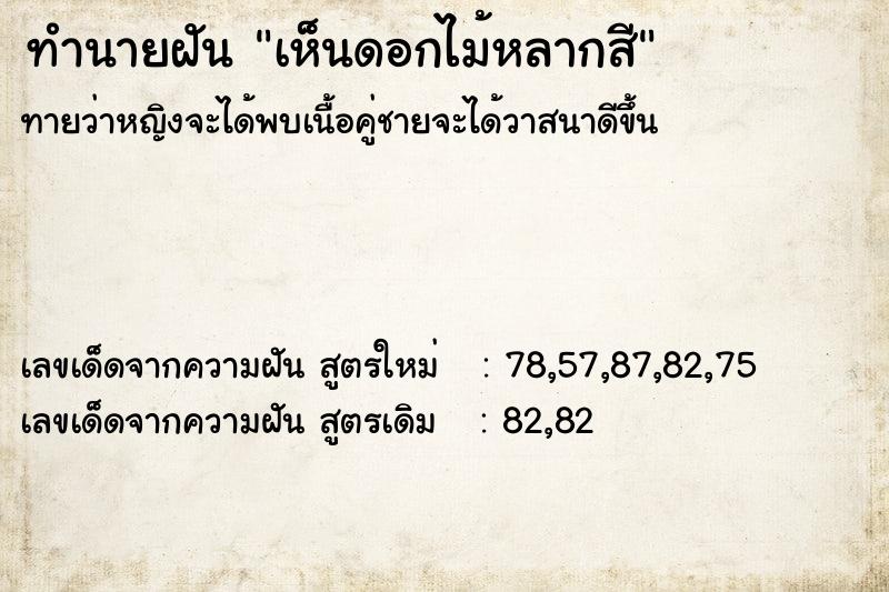 ทำนายฝัน เห็นดอกไม้หลากสี