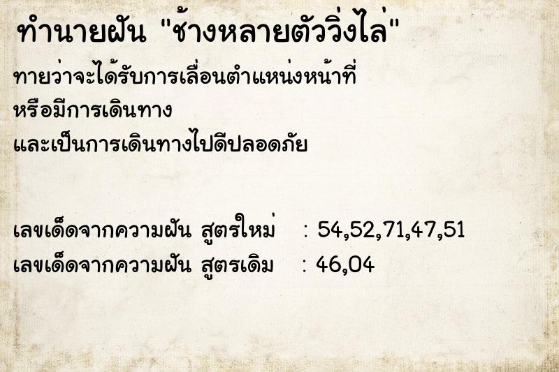 ทำนายฝัน ช้างหลายตัววิ่งไล่  เลขนำโชค 