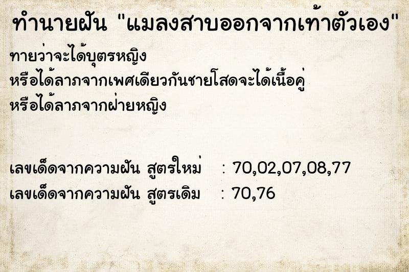 ทำนายฝัน แมลงสาบออกจากเท้าตัวเอง