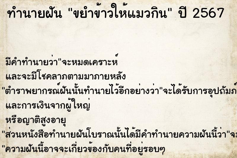 ทำนายฝัน ขยำข้าวให้แมวกิน ตำราโบราณ แม่นที่สุดในโลก