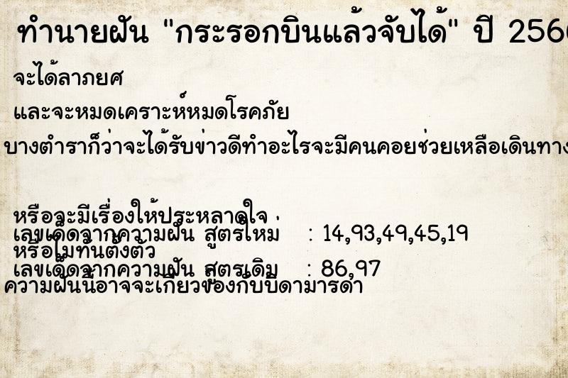 ทำนายฝัน กระรอกบินแล้วจับได้  เลขนำโชค 