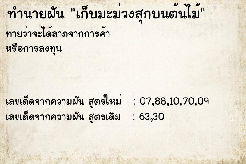 ทำนายฝัน เก็บมะม่วงสุกบนต้นไม้