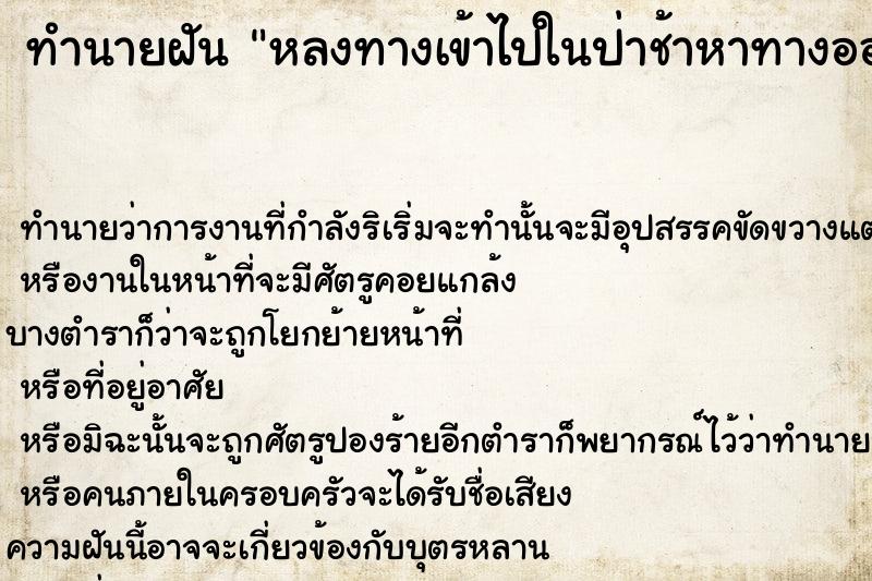 ทำนายฝัน หลงทางเข้าไปในป่าช้าหาทางออกไม่เจอ