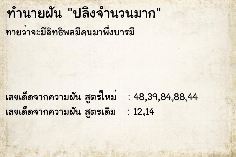 ทำนายฝัน ปลิงจำนวนมาก