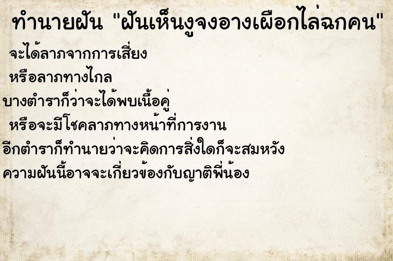 ทำนายฝัน ฝันเห็นงูจงอางเผือกไล่ฉกคน