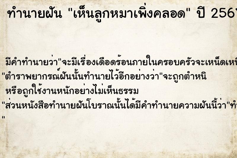 ทำนายฝัน เห็นลูกหมาเพิ่งคลอด ตำราโบราณ แม่นที่สุดในโลก