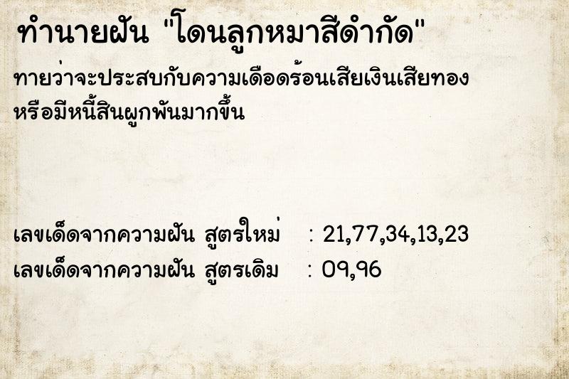 ทำนายฝัน โดนลูกหมาสีดำกัด