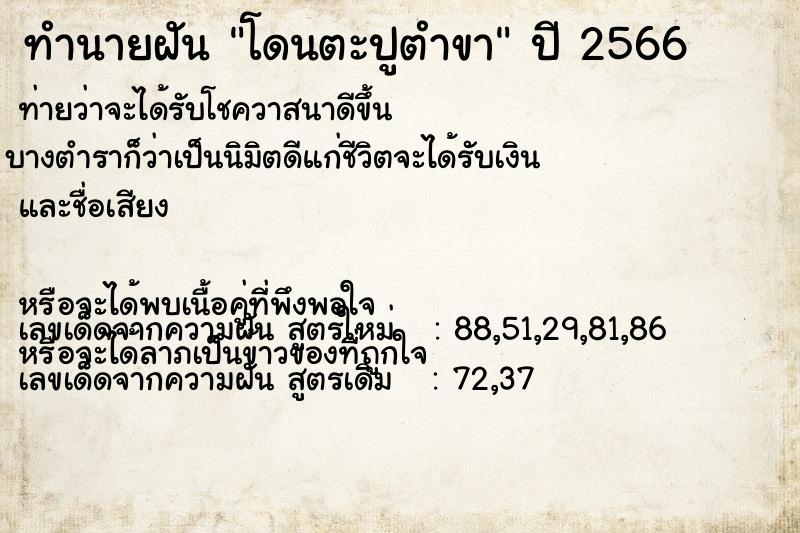 ทำนายฝัน โดนตะปูตำขา  เลขนำโชค 