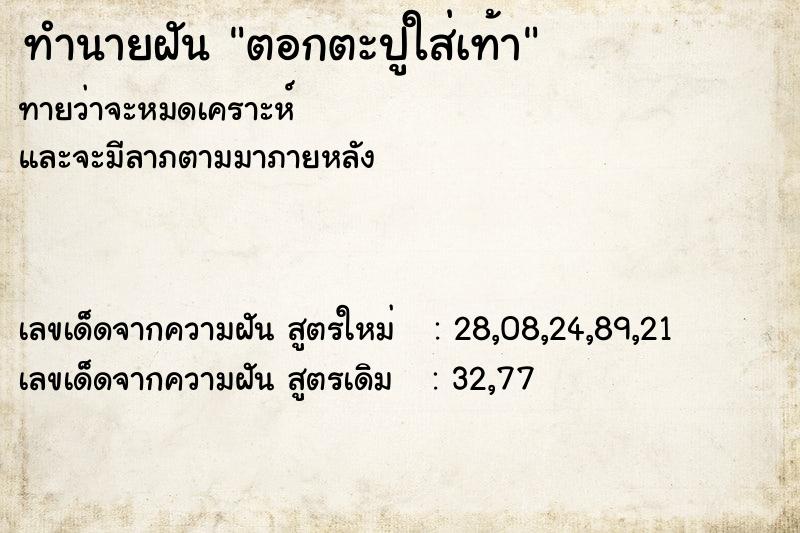 ทำนายฝัน ตอกตะปูใส่เท้า