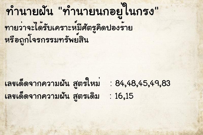 ทำนายฝัน ทำนายนกอยู่ในกรง