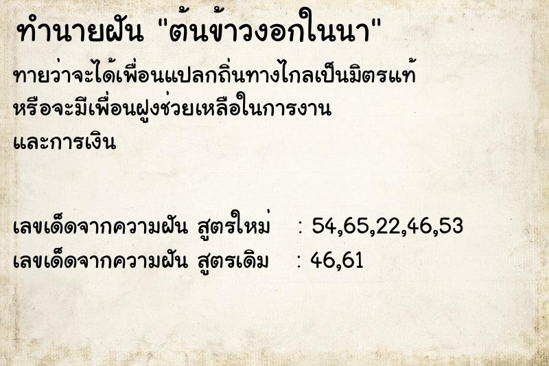 ทำนายฝัน ต้นข้าวงอกในนา