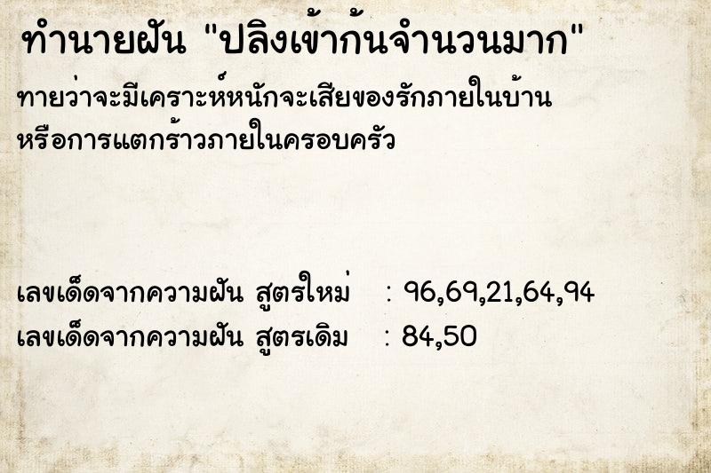 ทำนายฝัน ปลิงเข้าก้นจำนวนมาก