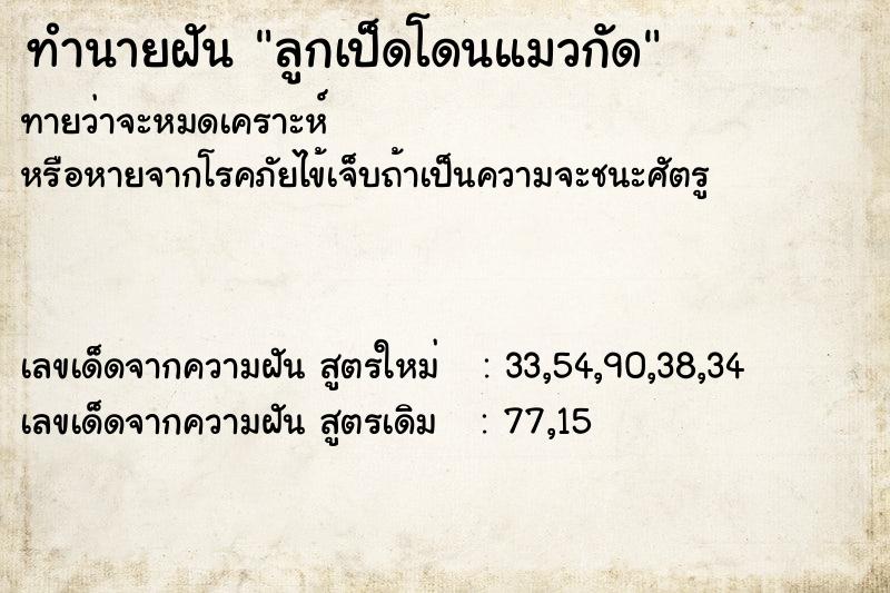 ทำนายฝัน ลูกเป็ดโดนแมวกัด